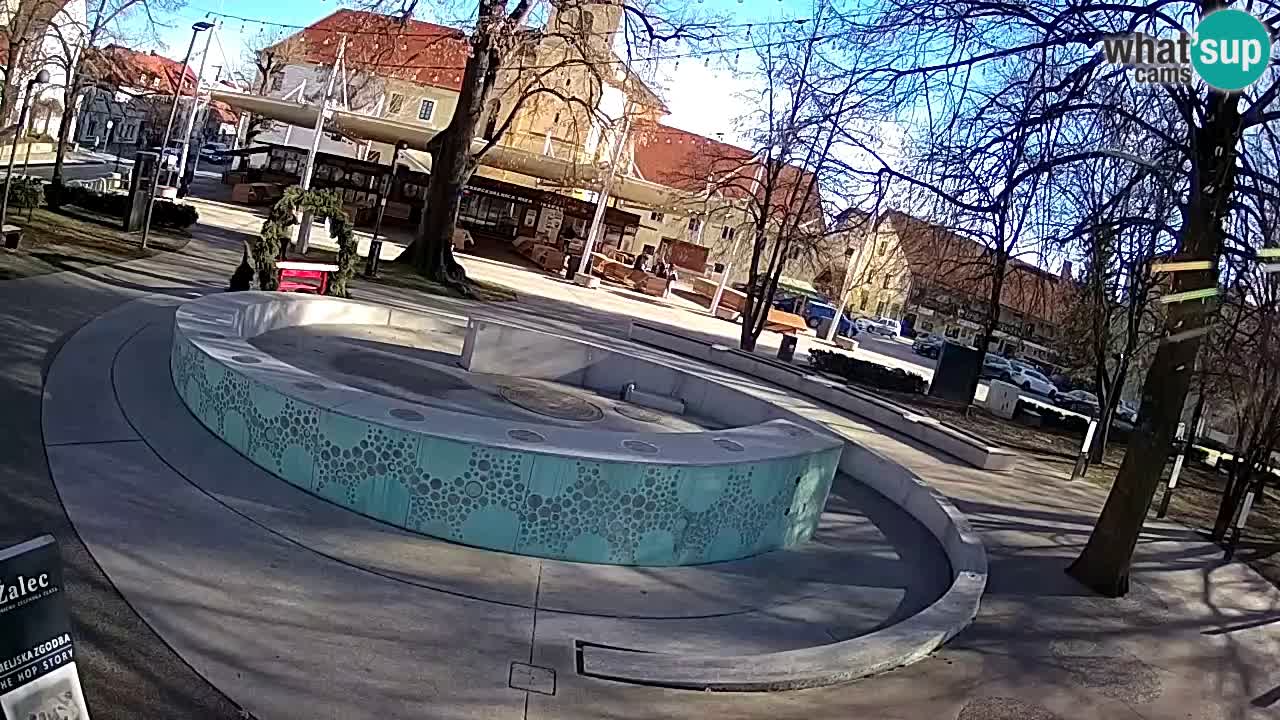 Spletna kamera Fontana Piv – Zeleno zlato Žalec