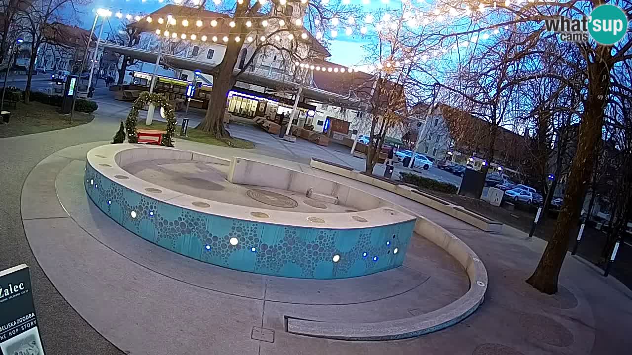 Camera en vivo Fuente de cerveza – Oro verde – Žalec