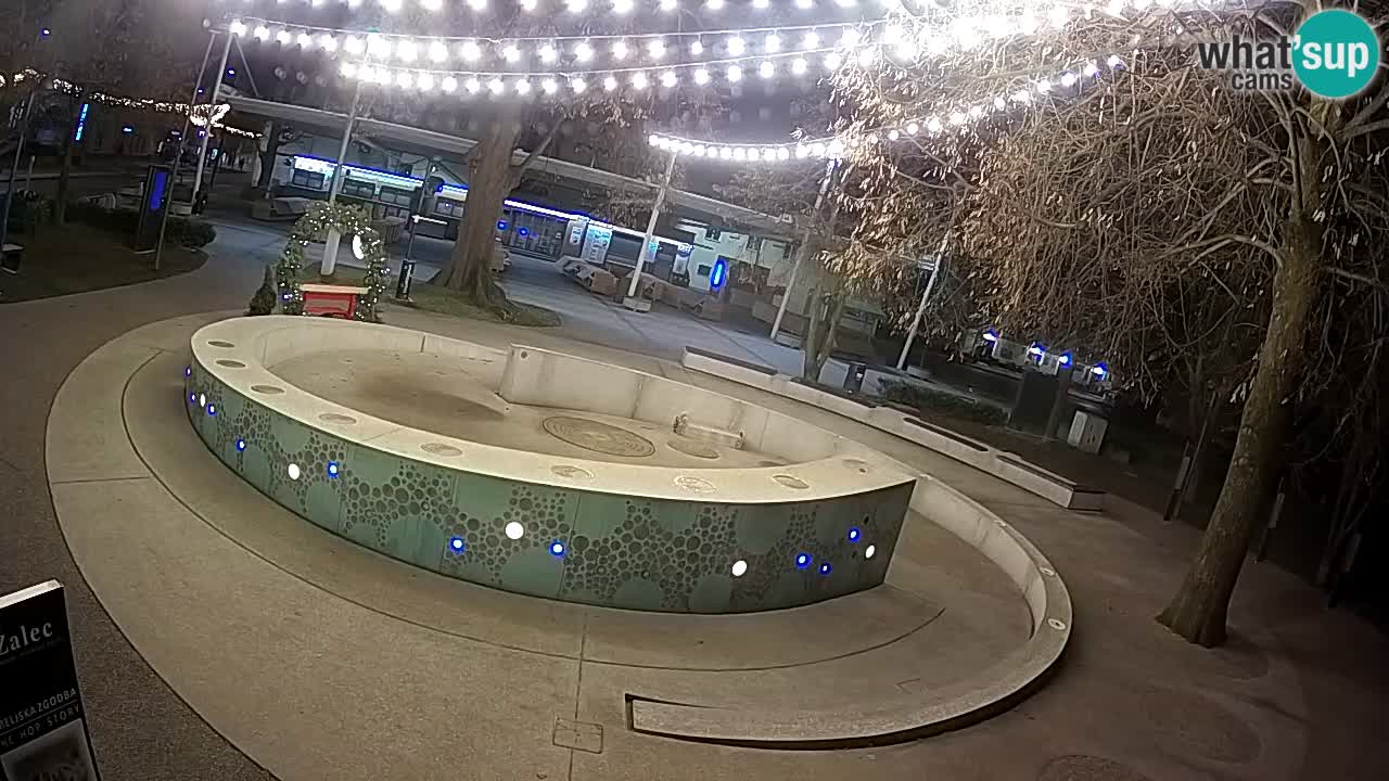 Fontana di birra Webcam – Oro verde – Žalec