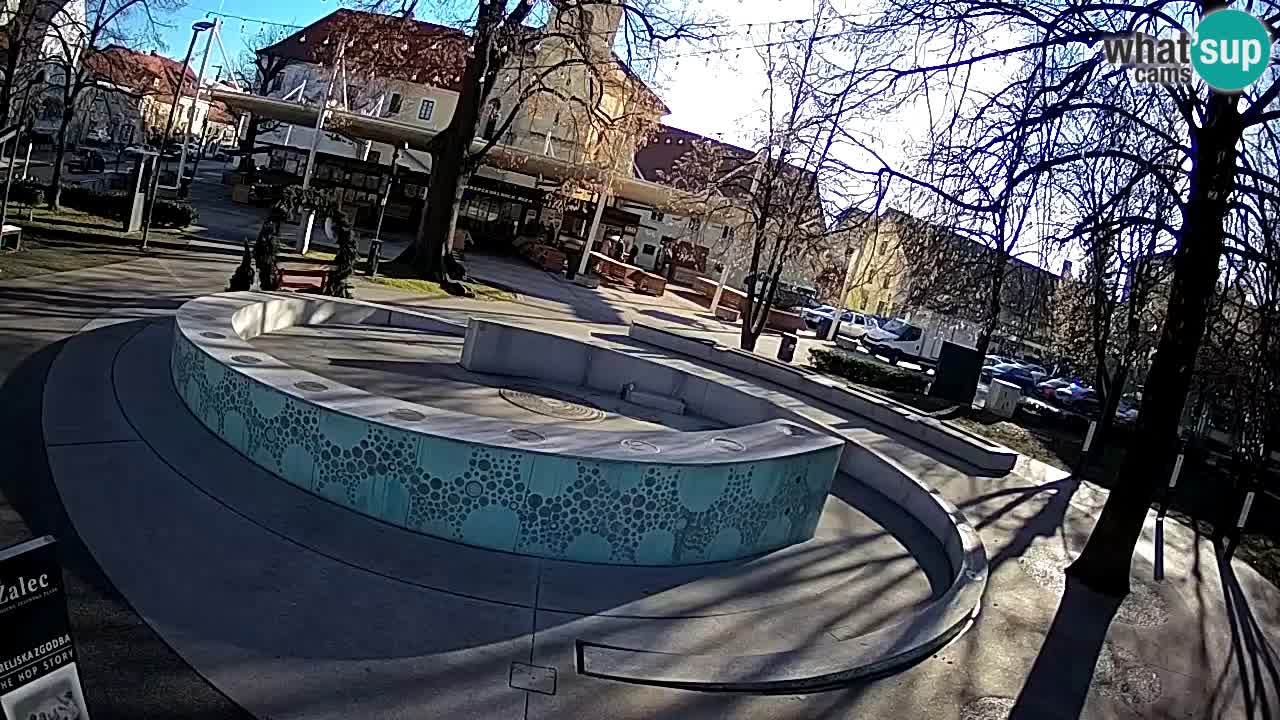 Fontaine à bière LIVE webcam – Or vert – Žalec