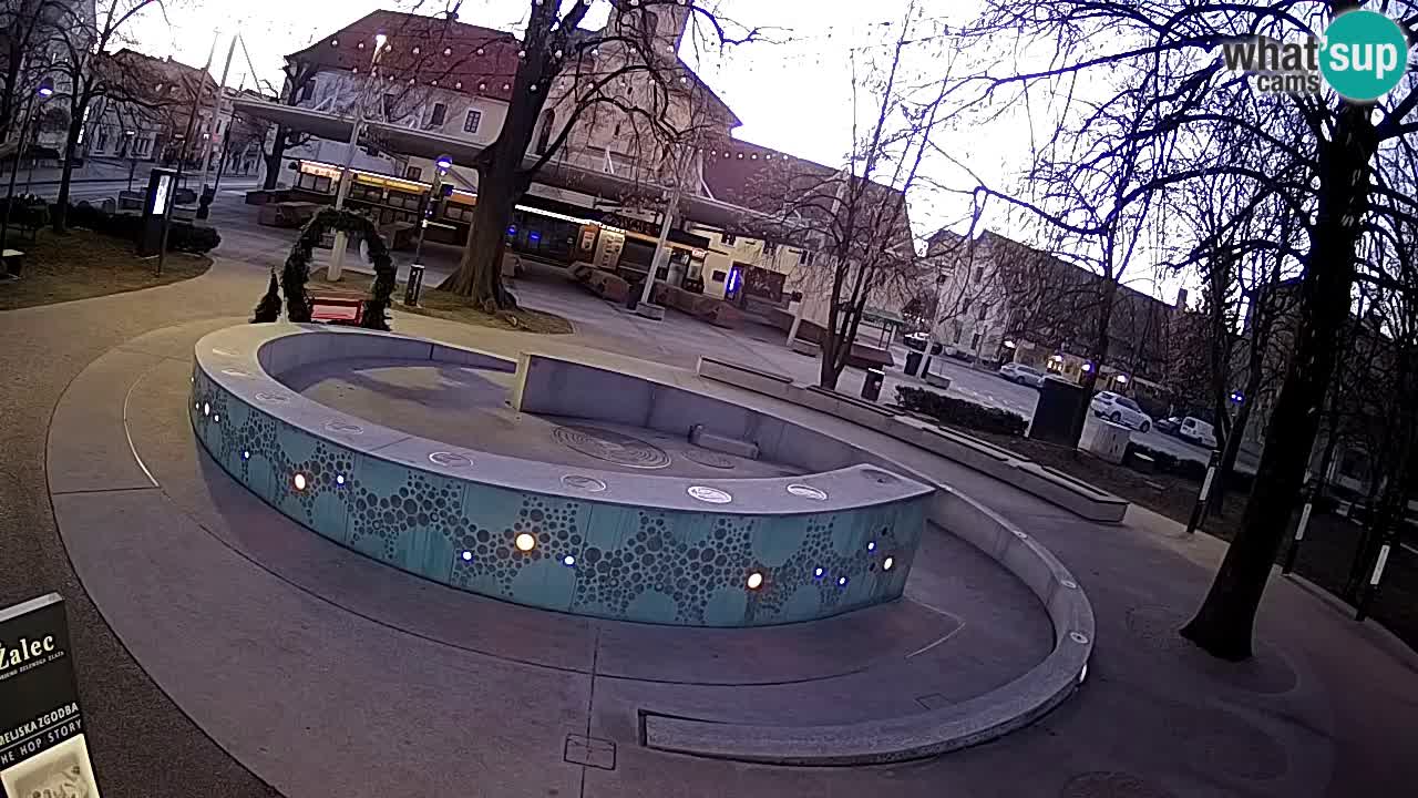 Camera en vivo Fuente de cerveza – Oro verde – Žalec