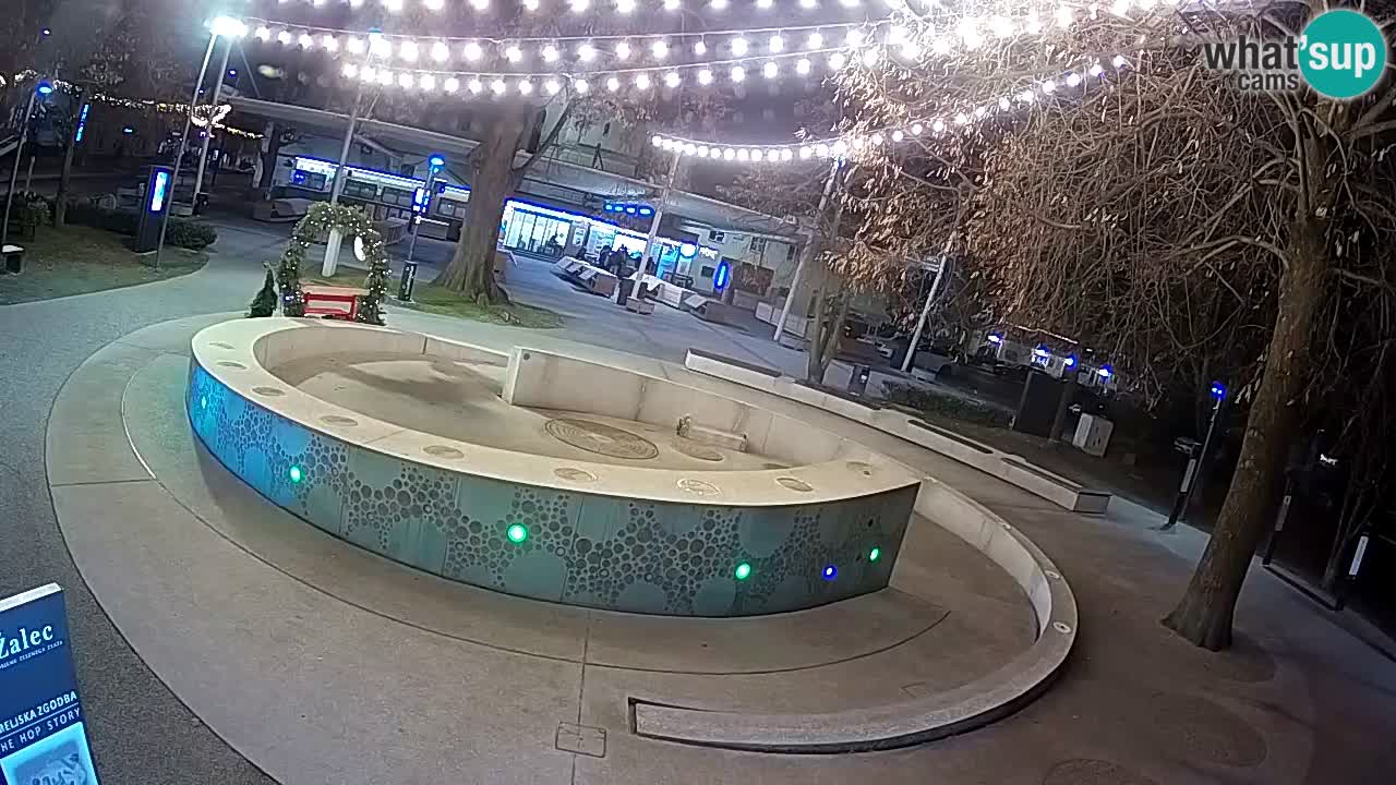 Fontana di birra Webcam – Oro verde – Žalec
