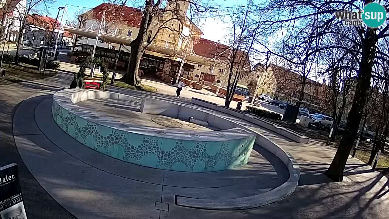 Web kamera Fontana piva – Zeleno zlato – Žalec