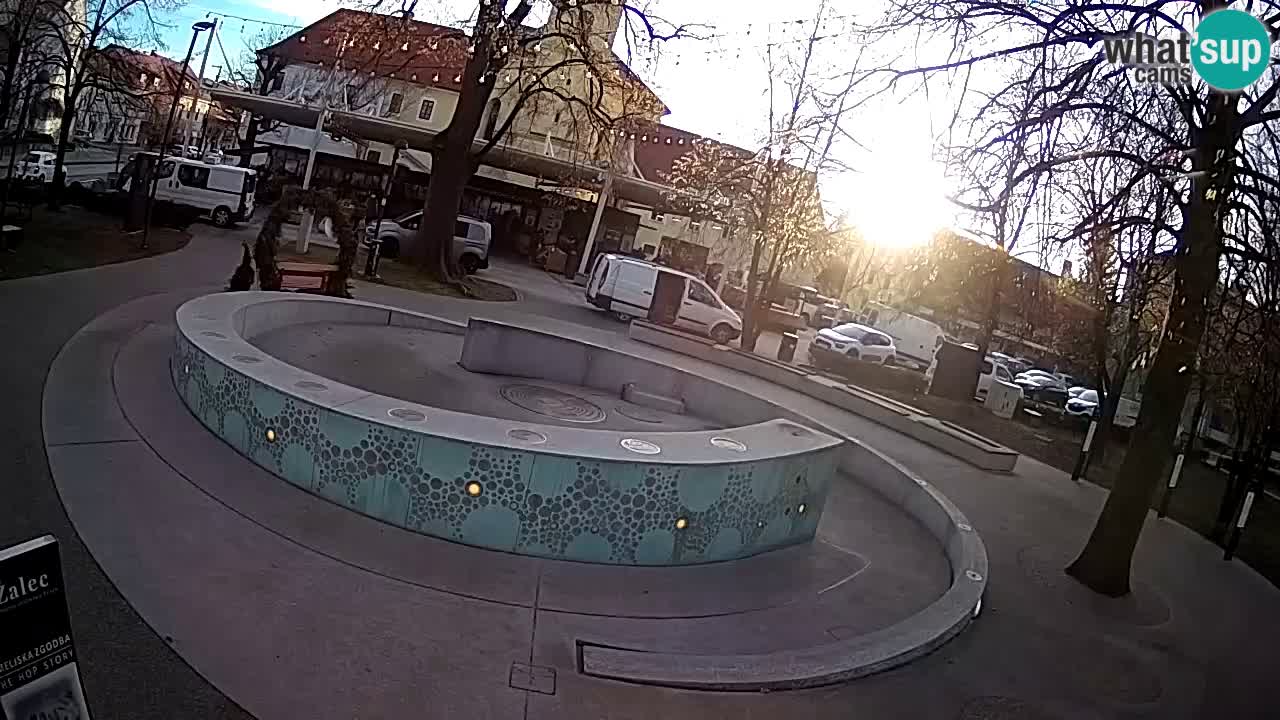 Web kamera Fontana piva – Zeleno zlato – Žalec