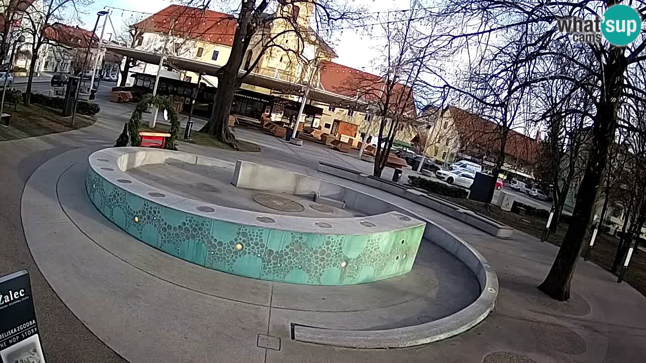Bier-Springbrunnen Webcam Žalec – Grünen Goldes