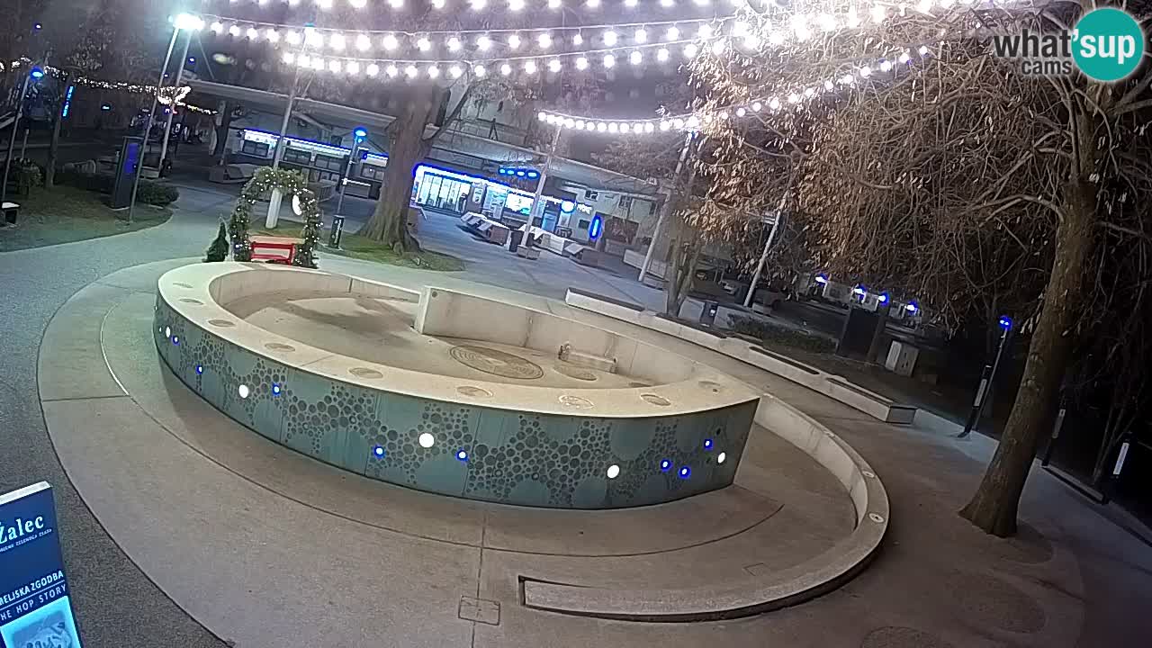 Fontaine à bière LIVE webcam – Or vert – Žalec