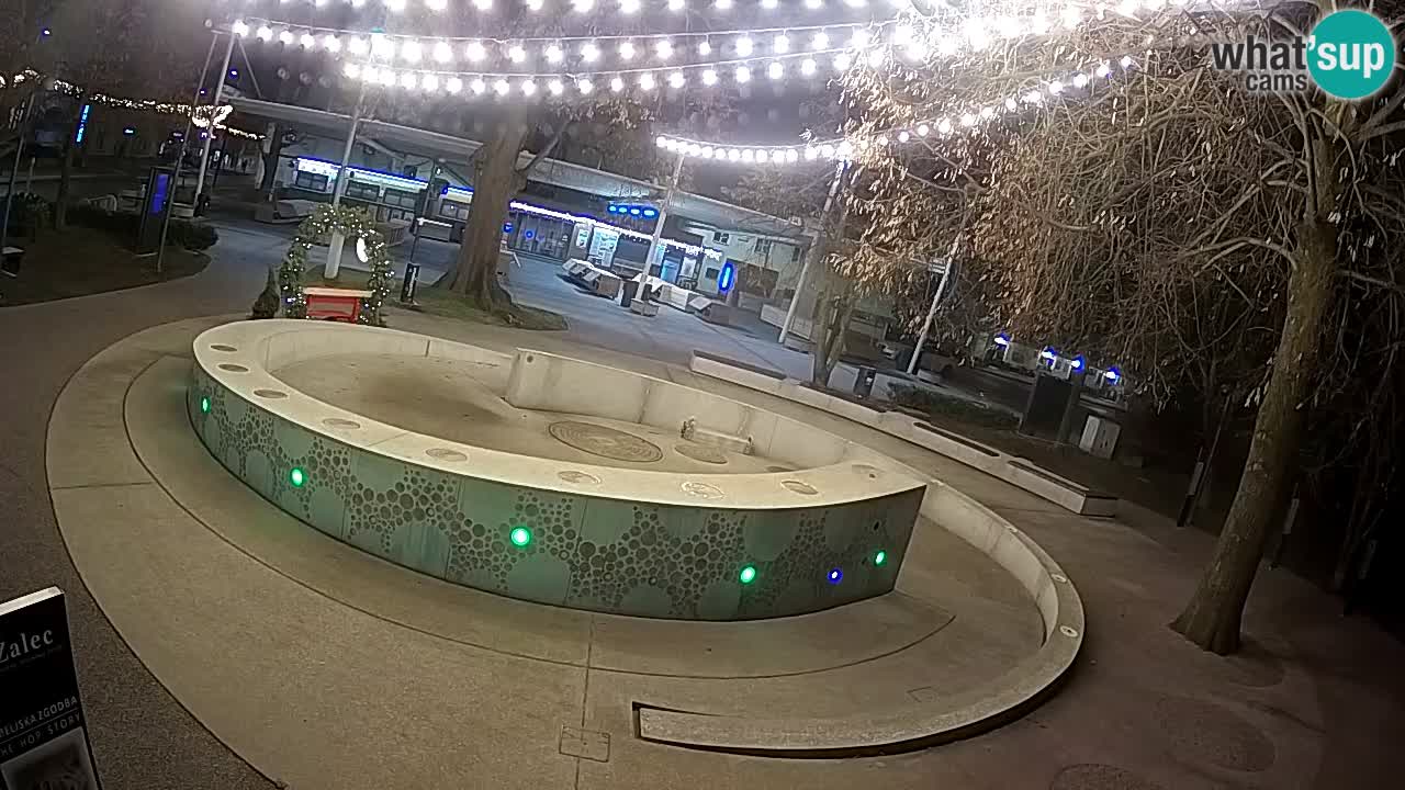 Bier-Springbrunnen Webcam Žalec – Grünen Goldes