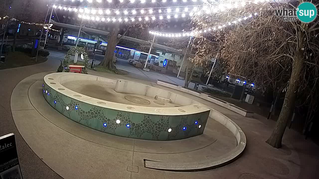 Fontaine à bière LIVE webcam – Or vert – Žalec