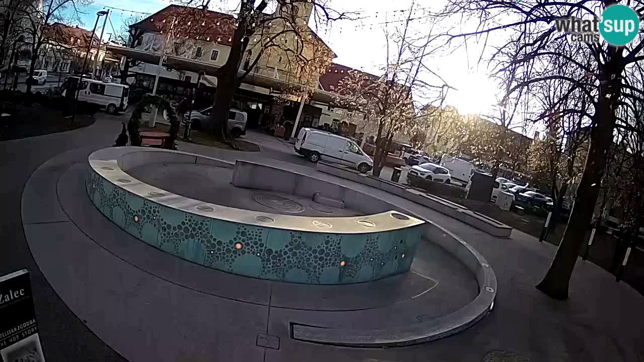 Spletna kamera Fontana Piv – Zeleno zlato Žalec