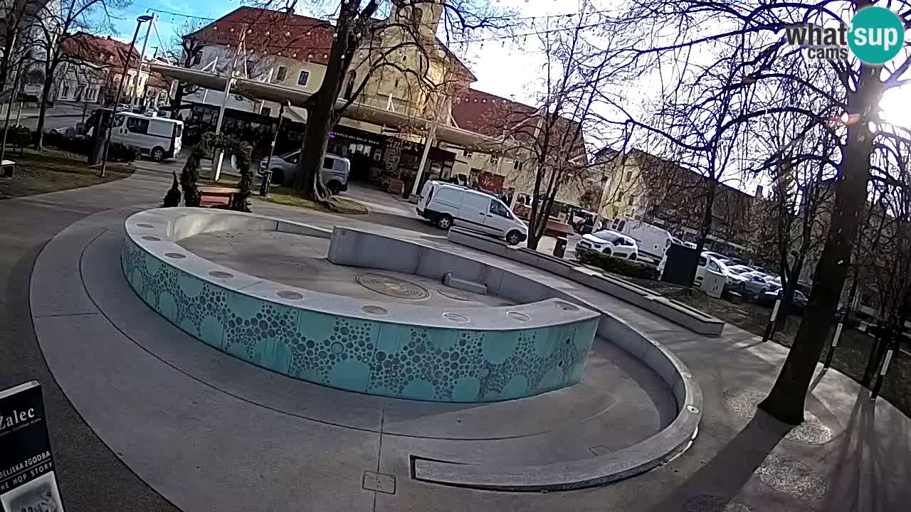 Fontana di birra Webcam – Oro verde – Žalec