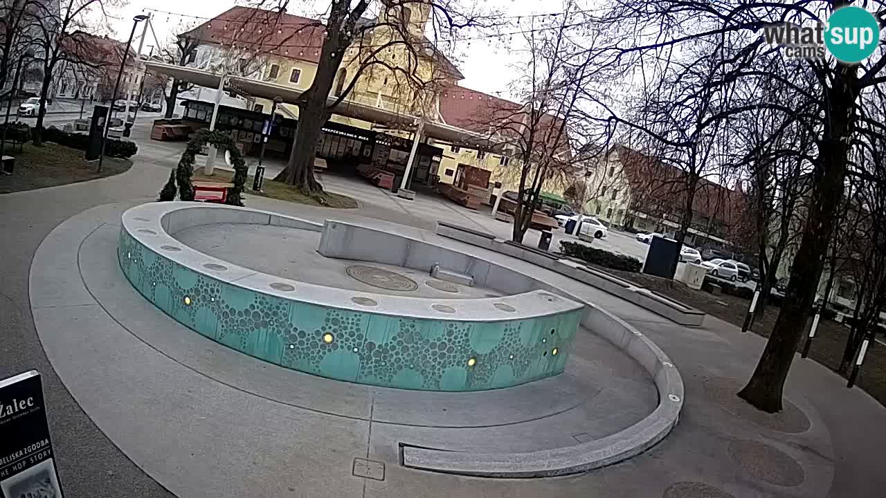 Fontana di birra Webcam – Oro verde – Žalec