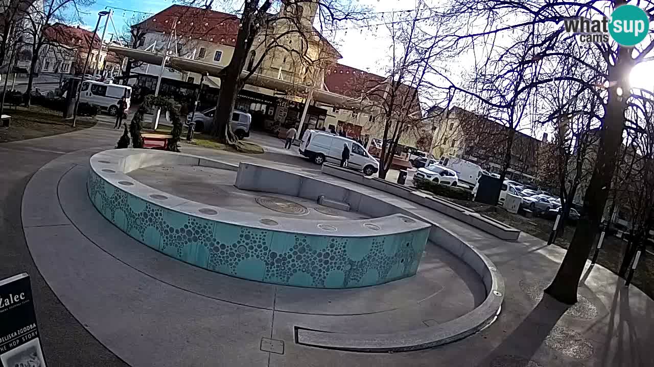 Web kamera Fontana piva – Zeleno zlato – Žalec