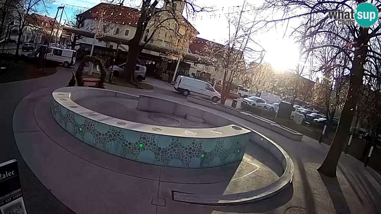 Camera en vivo Fuente de cerveza – Oro verde – Žalec