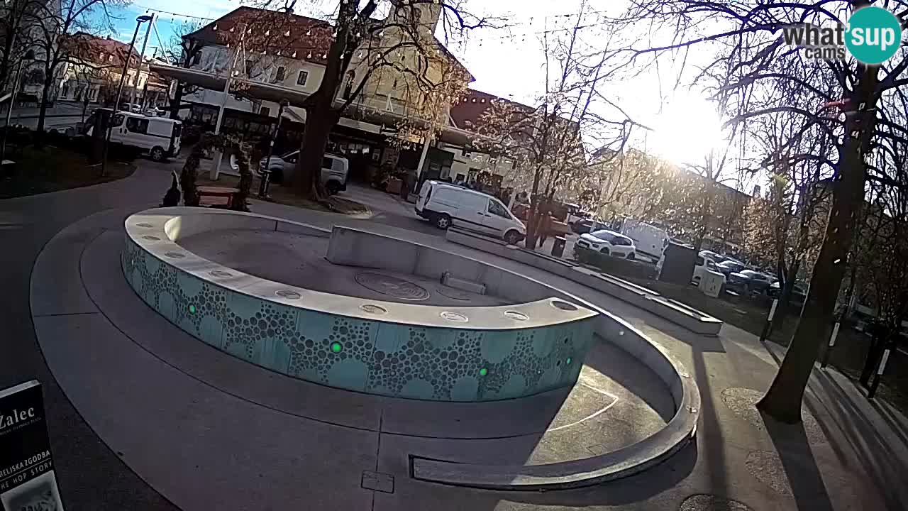 Spletna kamera Fontana Piv – Zeleno zlato Žalec