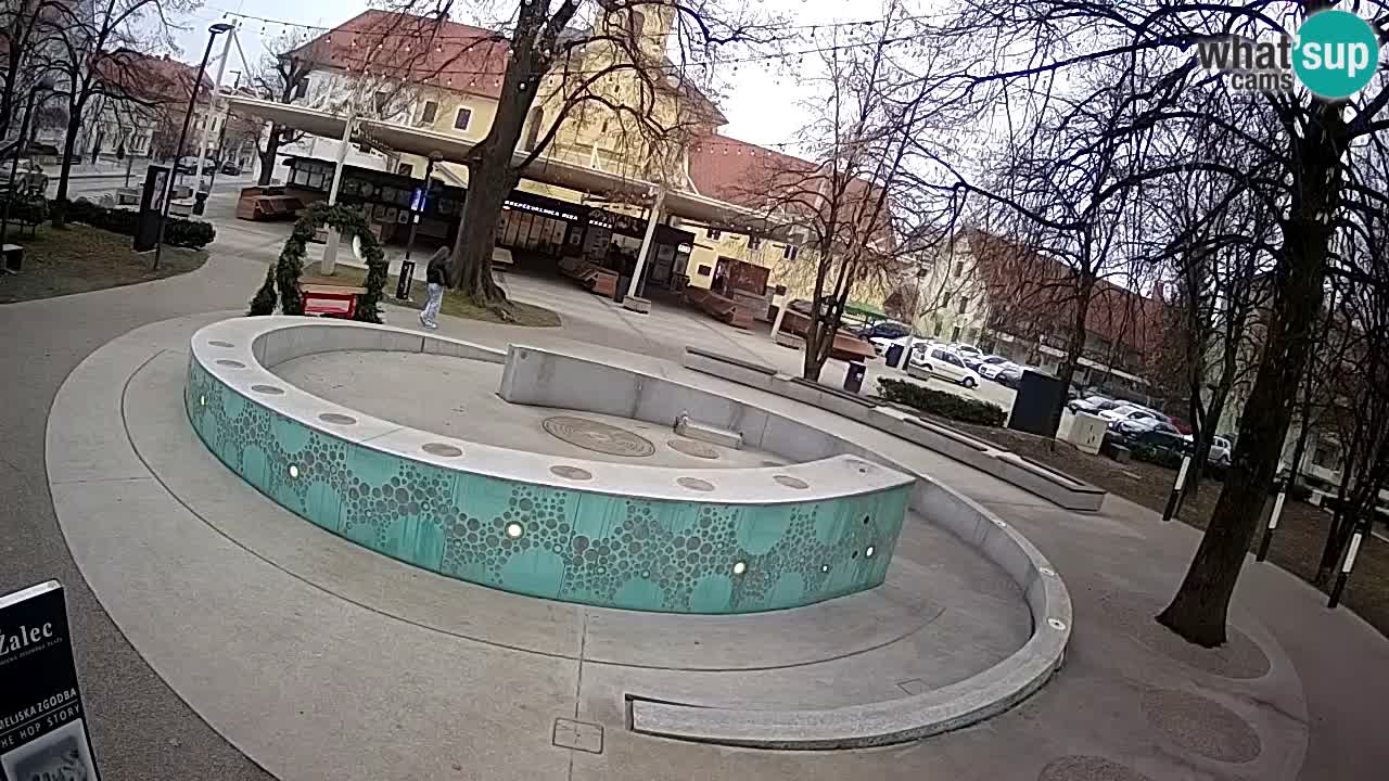 Fontana di birra Webcam – Oro verde – Žalec