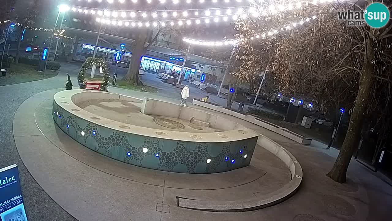 Fontana di birra Webcam – Oro verde – Žalec