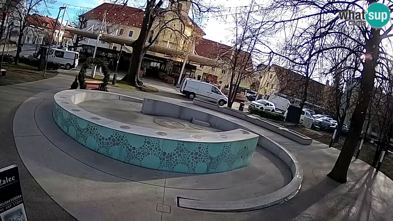 Fontana di birra Webcam – Oro verde – Žalec