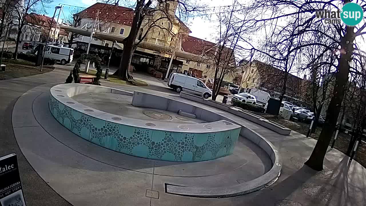 Fontaine à bière LIVE webcam – Or vert – Žalec