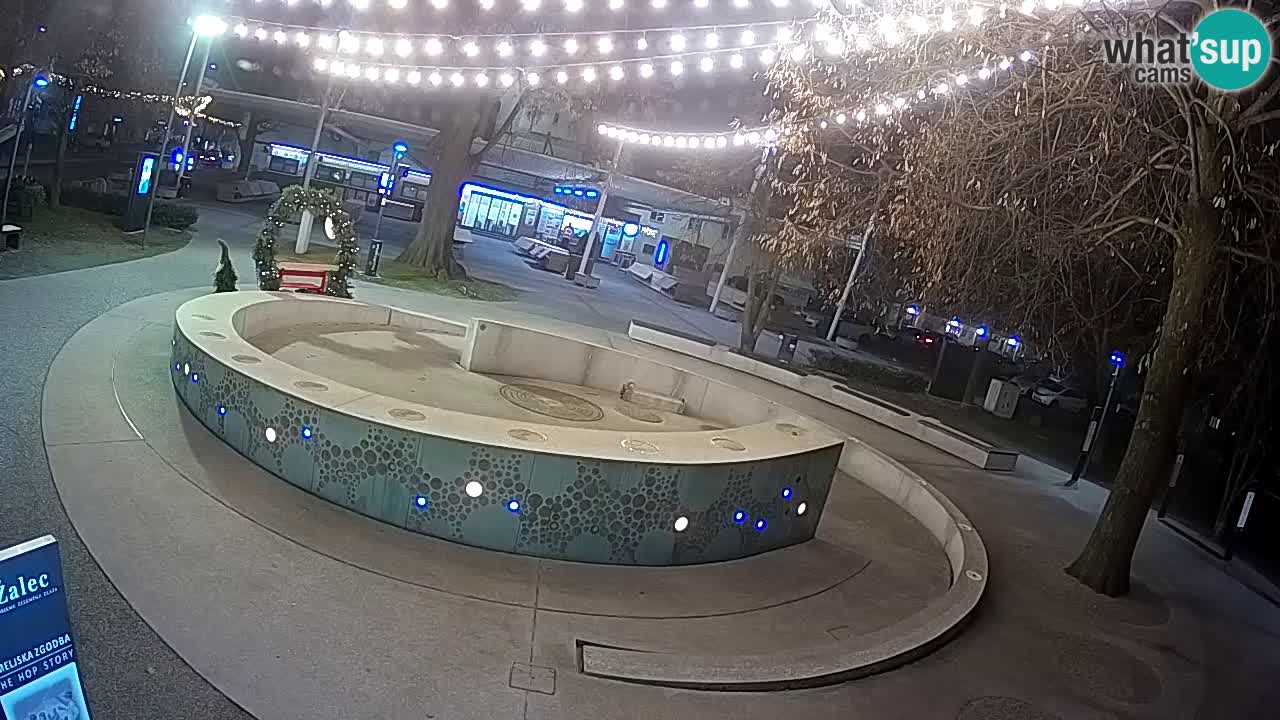 Fontaine à bière LIVE webcam – Or vert – Žalec