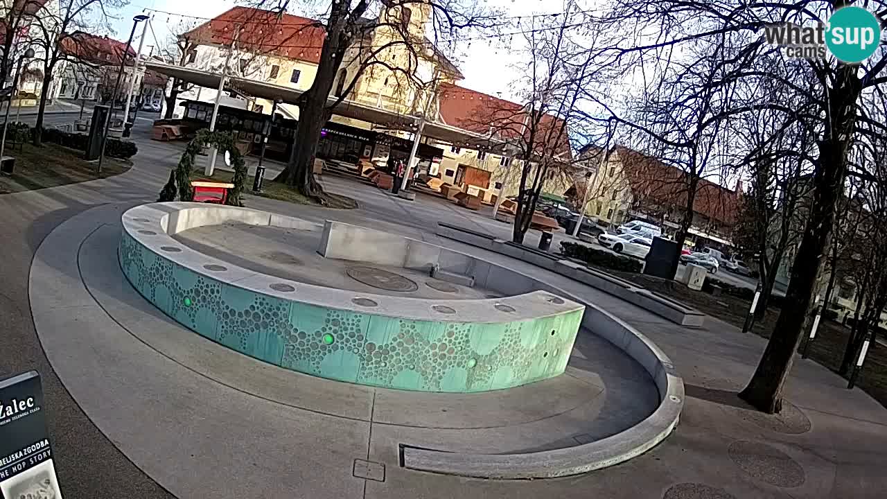 Fontana di birra Webcam – Oro verde – Žalec