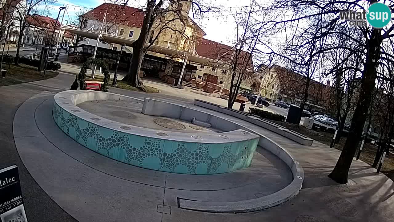 Fontana di birra Webcam – Oro verde – Žalec