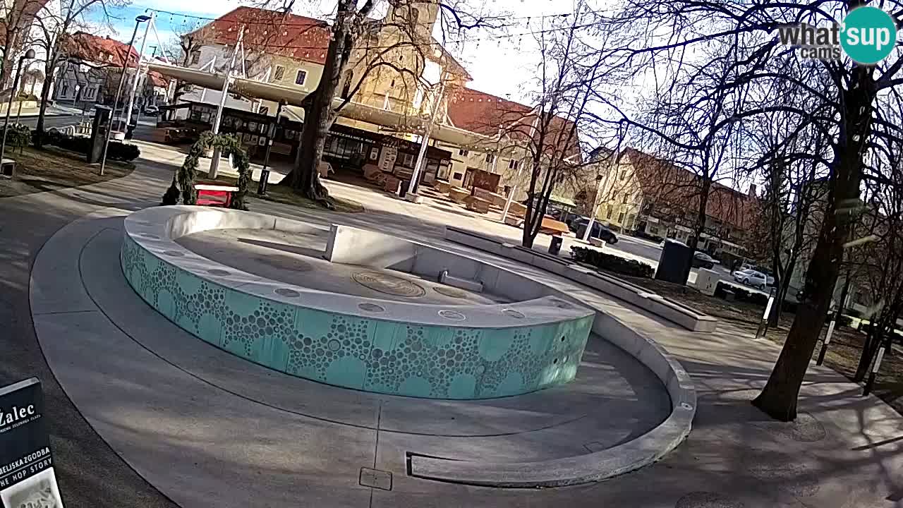 Fontaine à bière LIVE webcam – Or vert – Žalec