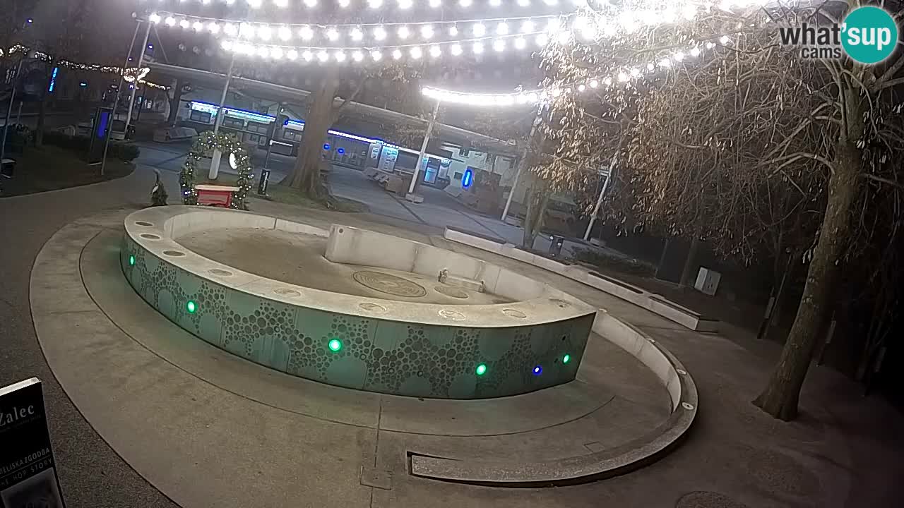 Bier-Springbrunnen Webcam Žalec – Grünen Goldes