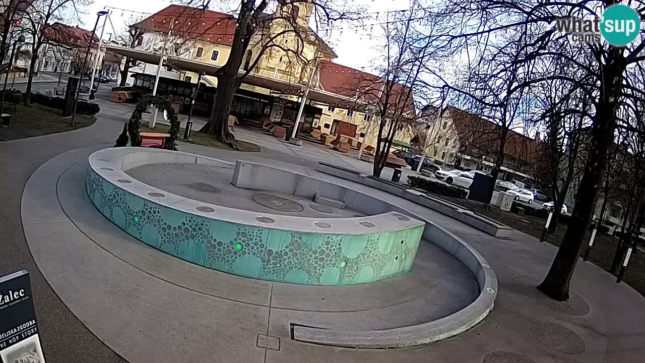 Fontana di birra Webcam – Oro verde – Žalec