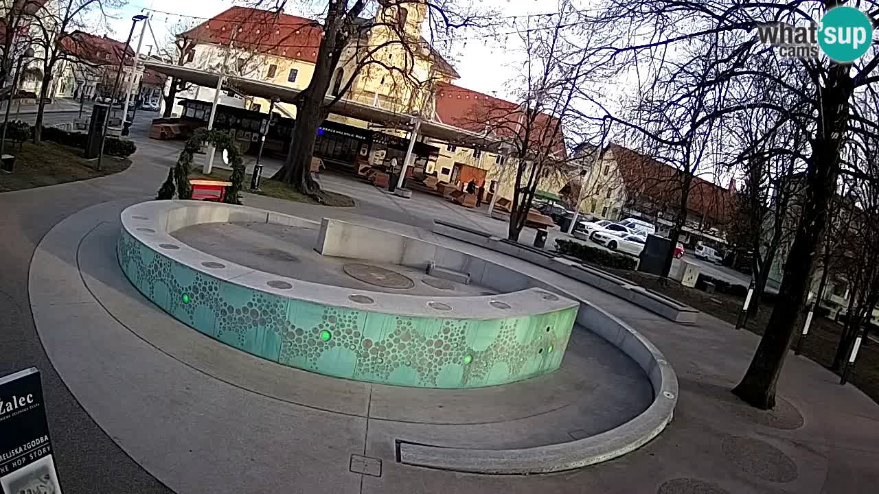 Bier-Springbrunnen Webcam Žalec – Grünen Goldes