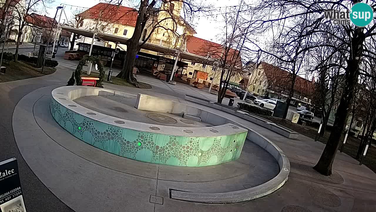 Spletna kamera Fontana Piv – Zeleno zlato Žalec