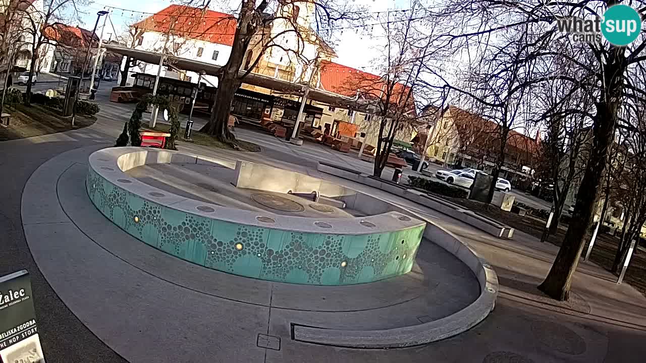 Fontana di birra Webcam – Oro verde – Žalec