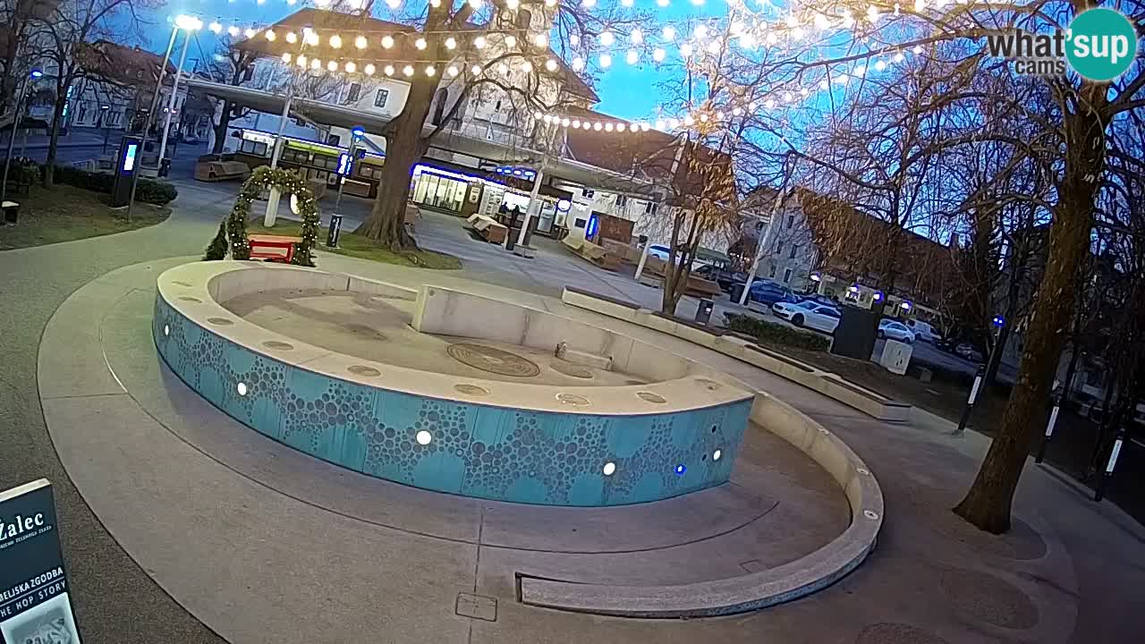 Camera en vivo Fuente de cerveza – Oro verde – Žalec