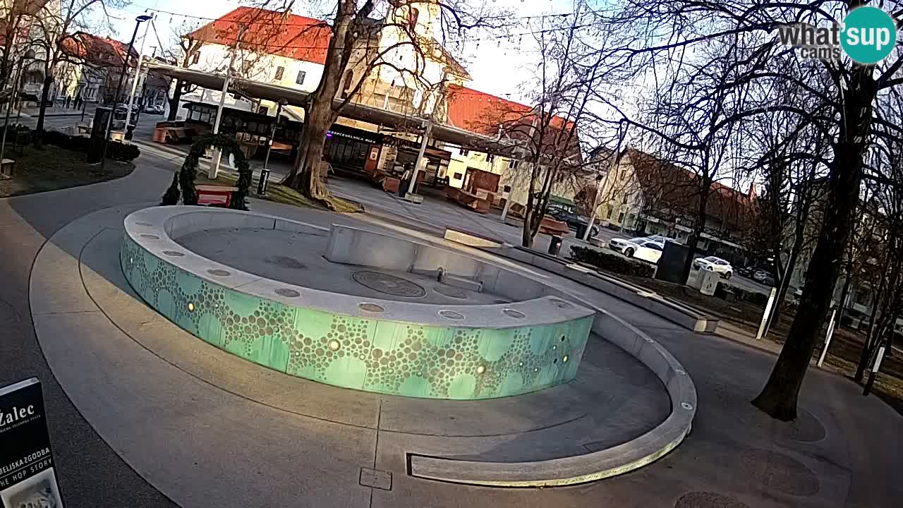 Spletna kamera Fontana Piv – Zeleno zlato Žalec