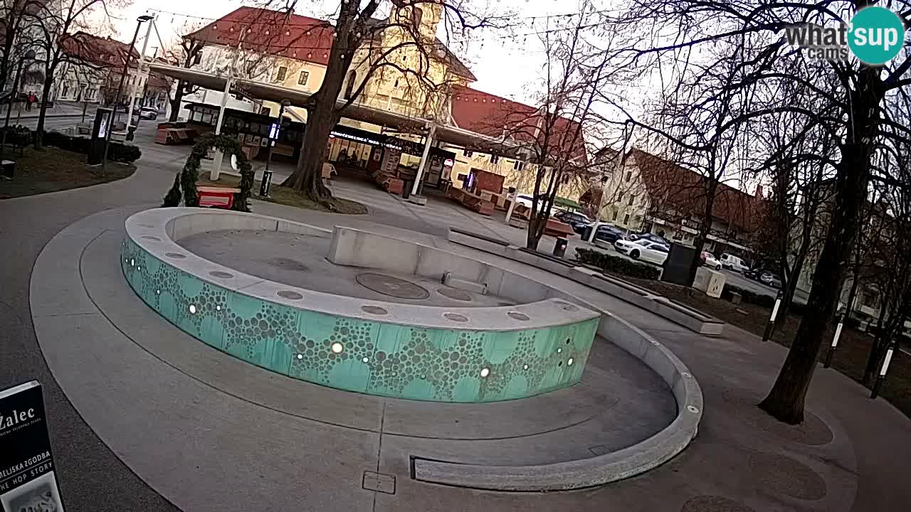 Bier-Springbrunnen Webcam Žalec – Grünen Goldes