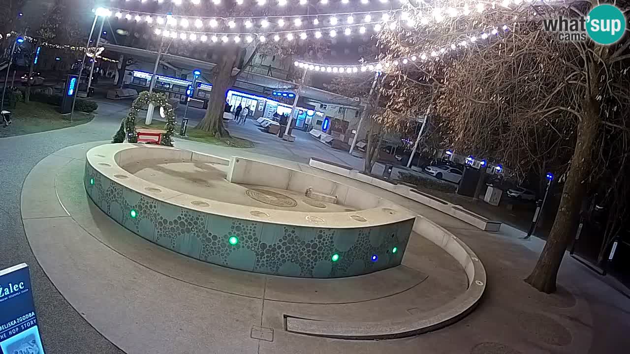 Fontaine à bière LIVE webcam – Or vert – Žalec