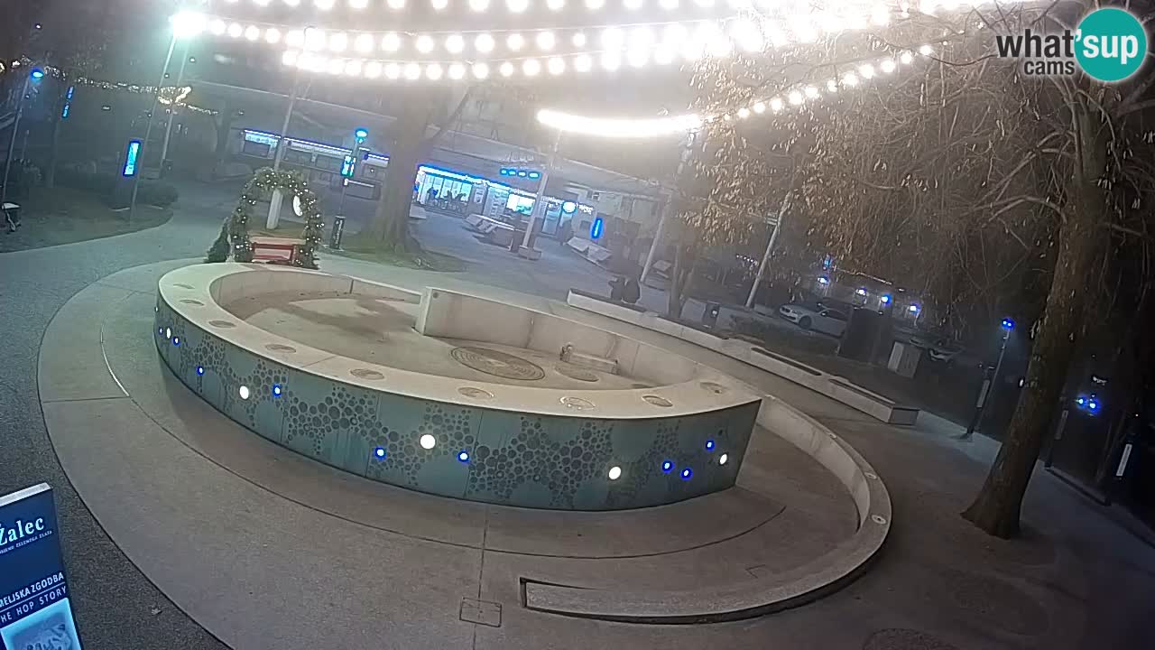 Fontana di birra Webcam – Oro verde – Žalec
