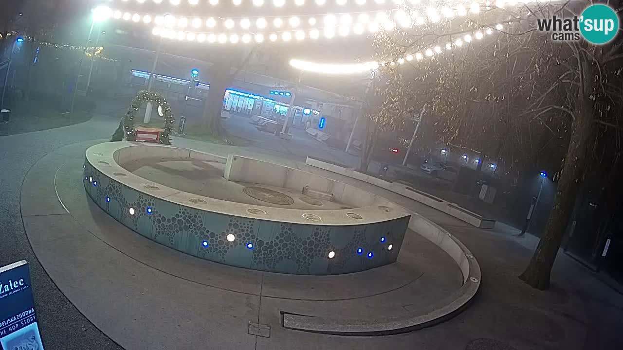 Spletna kamera Fontana Piv – Zeleno zlato Žalec