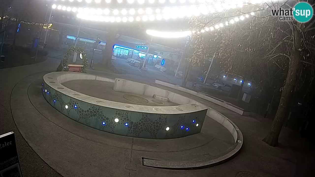 Web kamera Fontana piva – Zeleno zlato – Žalec