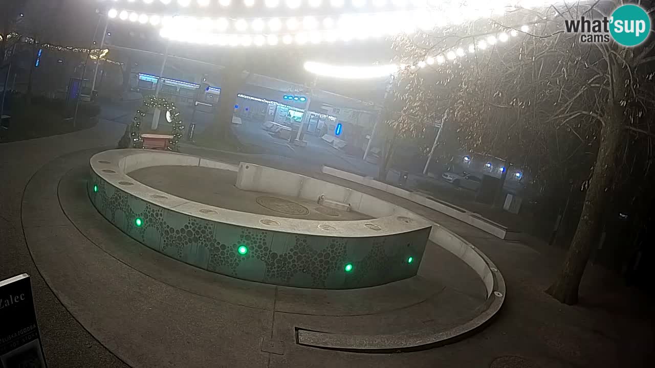 Fontaine à bière LIVE webcam – Or vert – Žalec