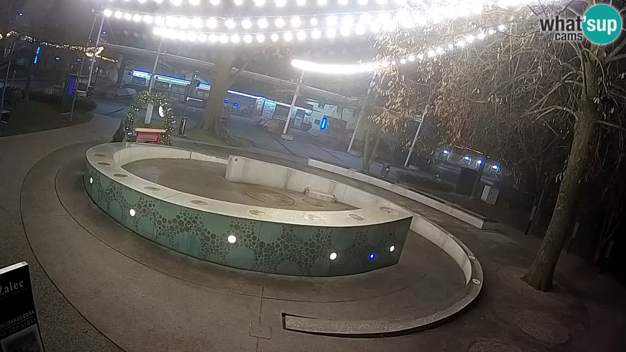 Spletna kamera Fontana Piv – Zeleno zlato Žalec