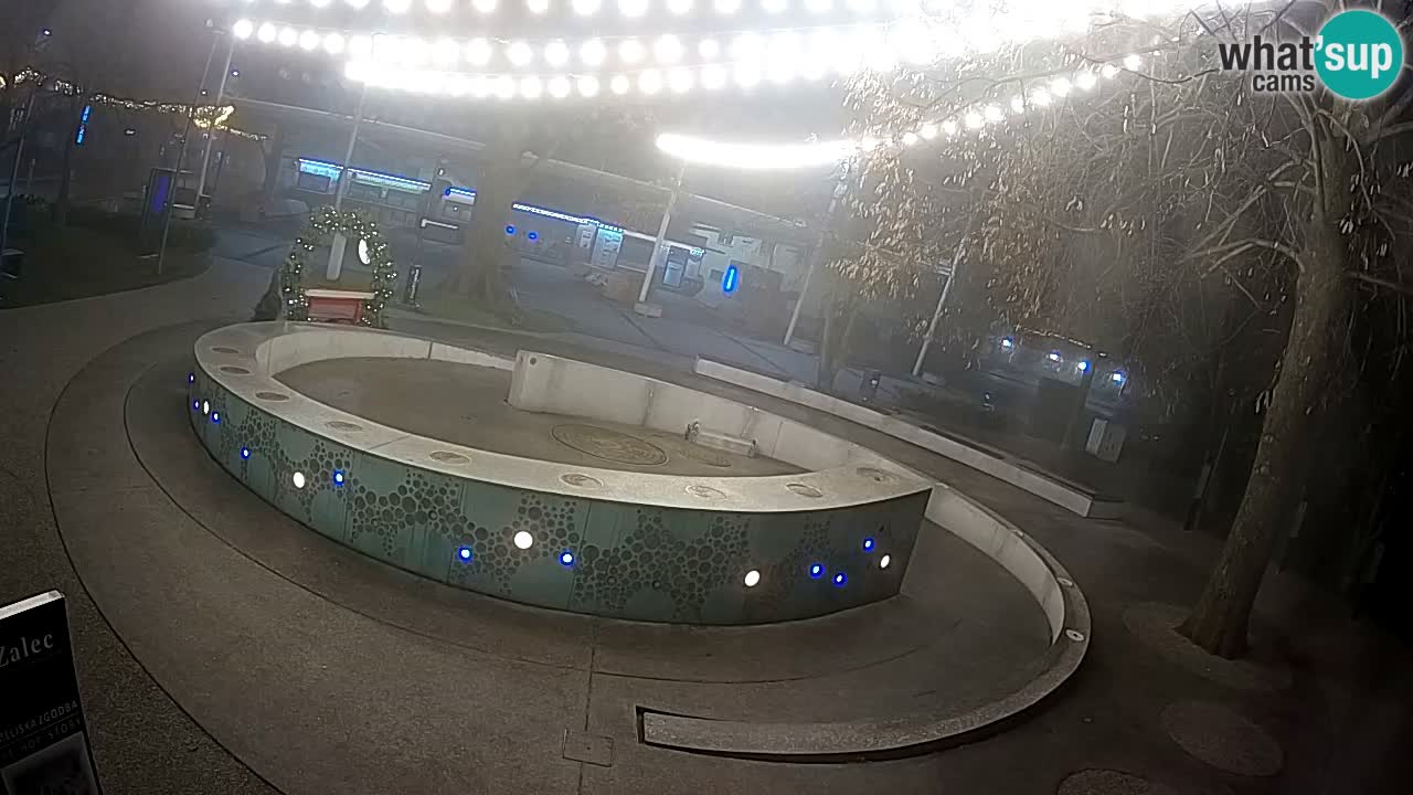 Bier-Springbrunnen Webcam Žalec – Grünen Goldes