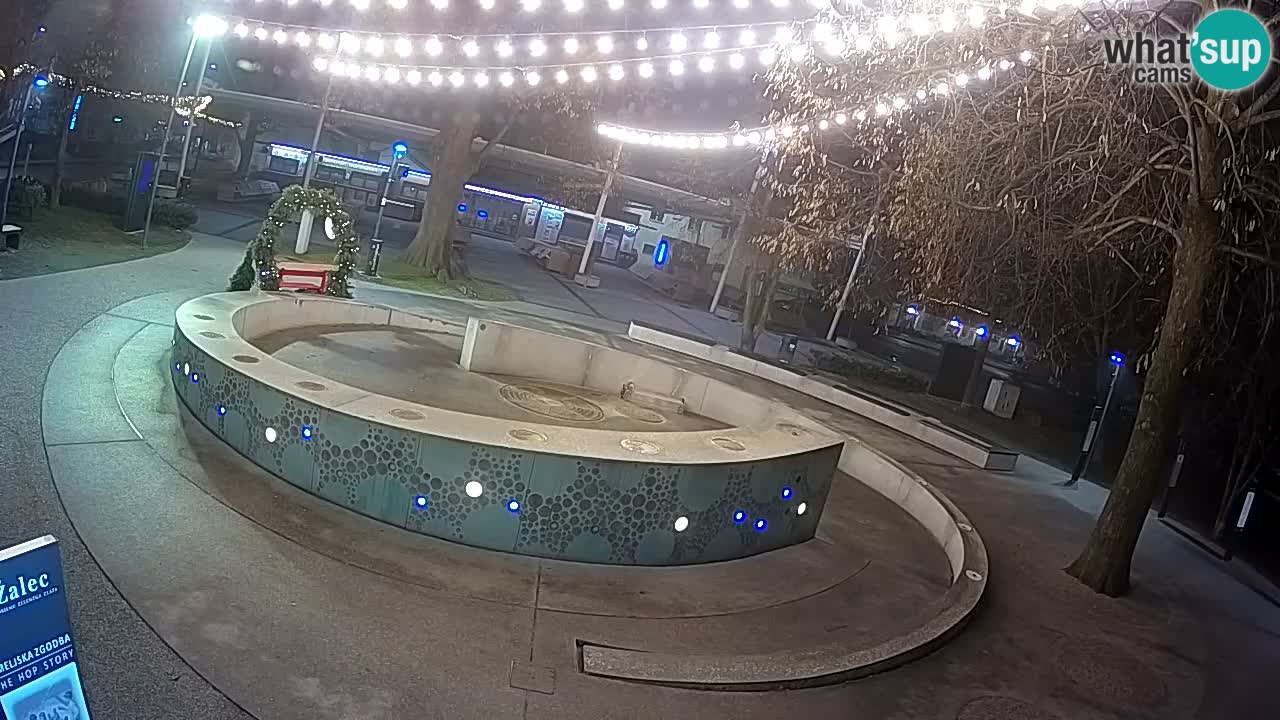 Fontaine à bière LIVE webcam – Or vert – Žalec