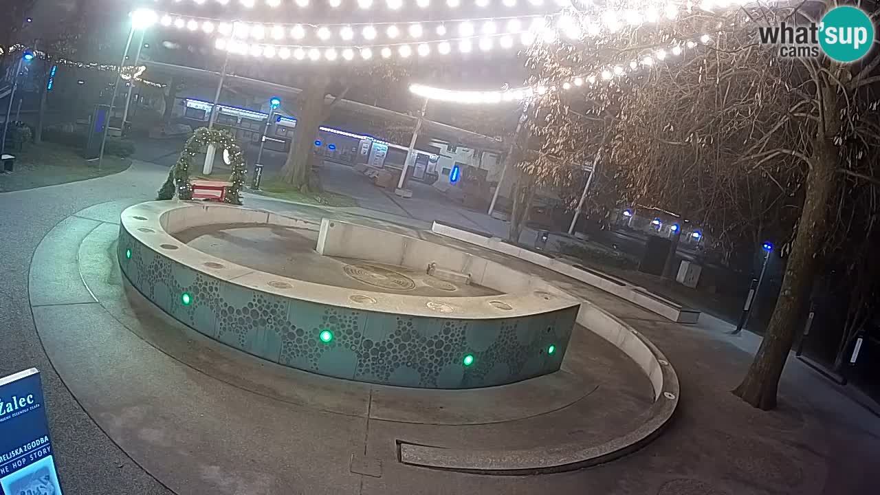 Fontaine à bière LIVE webcam – Or vert – Žalec