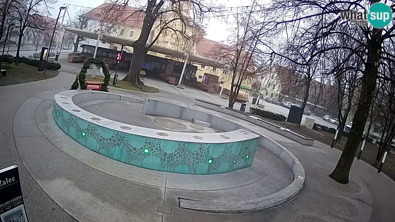 Web kamera Fontana piva – Zeleno zlato – Žalec