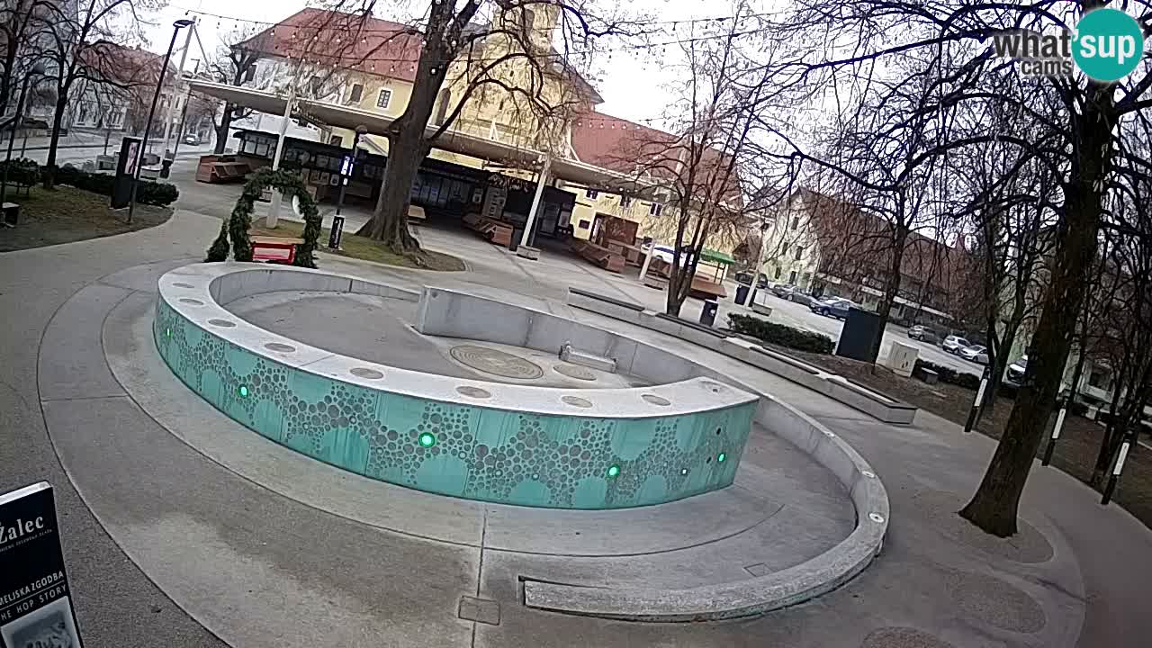 Fontana di birra Webcam – Oro verde – Žalec