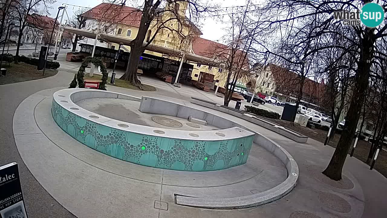 Bier-Springbrunnen Webcam Žalec – Grünen Goldes