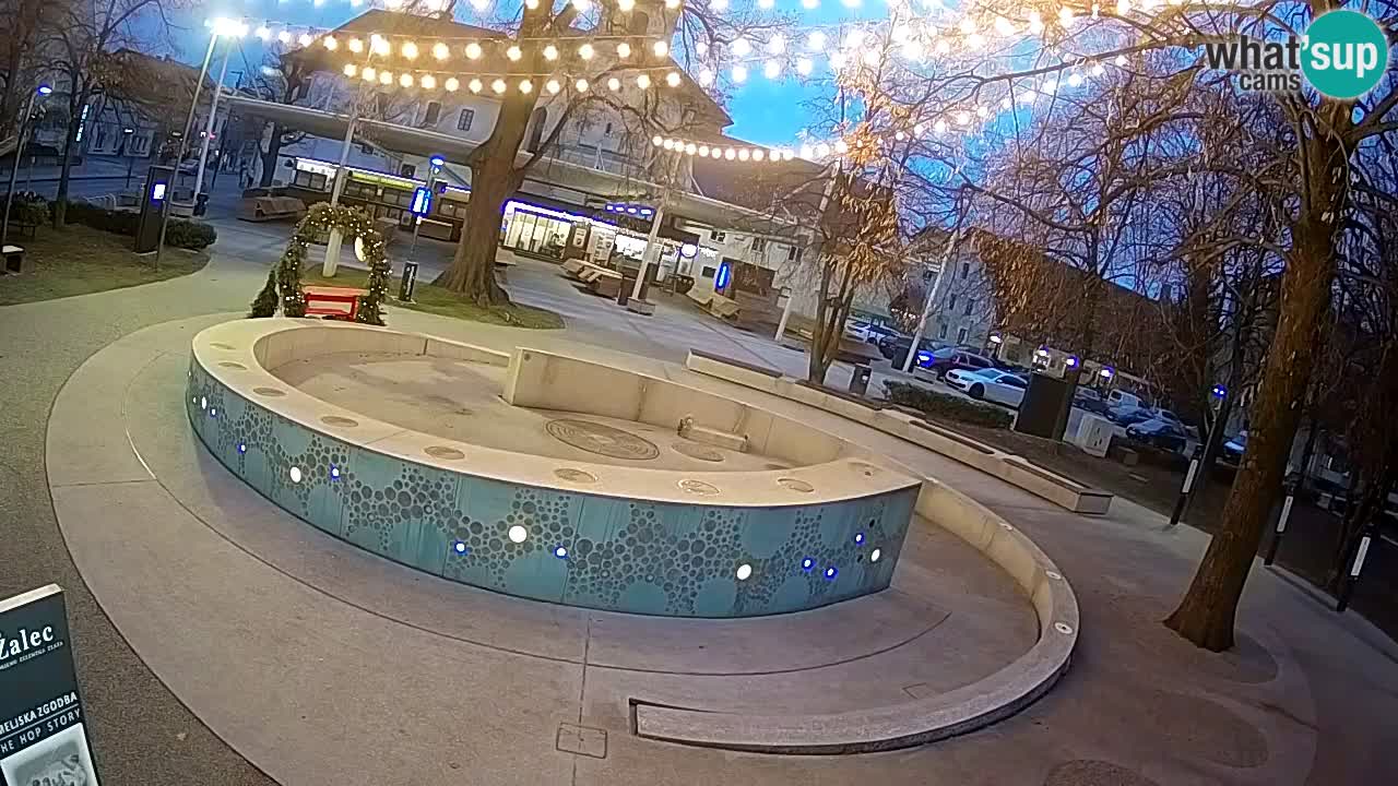 Web kamera Fontana piva – Zeleno zlato – Žalec