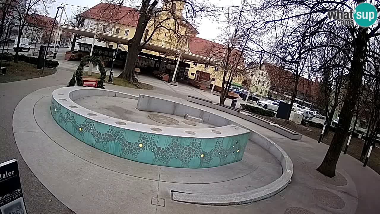 Fontana di birra Webcam – Oro verde – Žalec