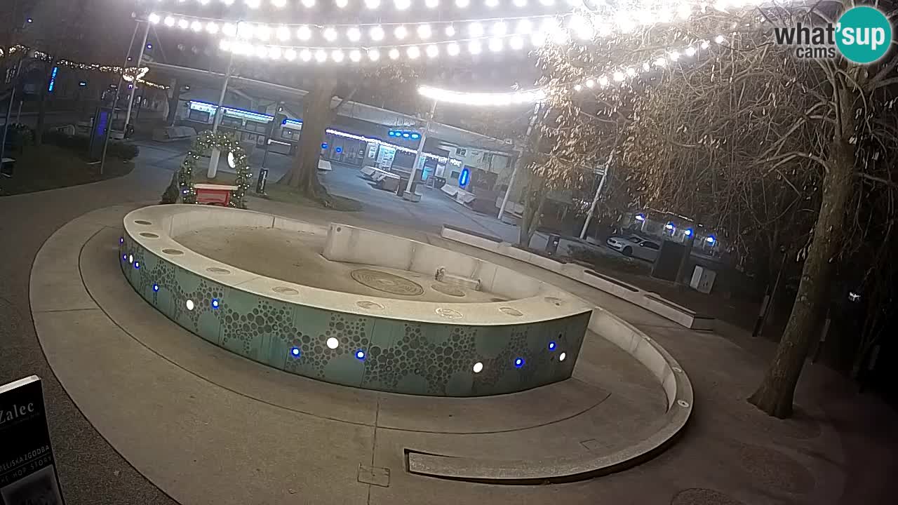 Camera en vivo Fuente de cerveza – Oro verde – Žalec