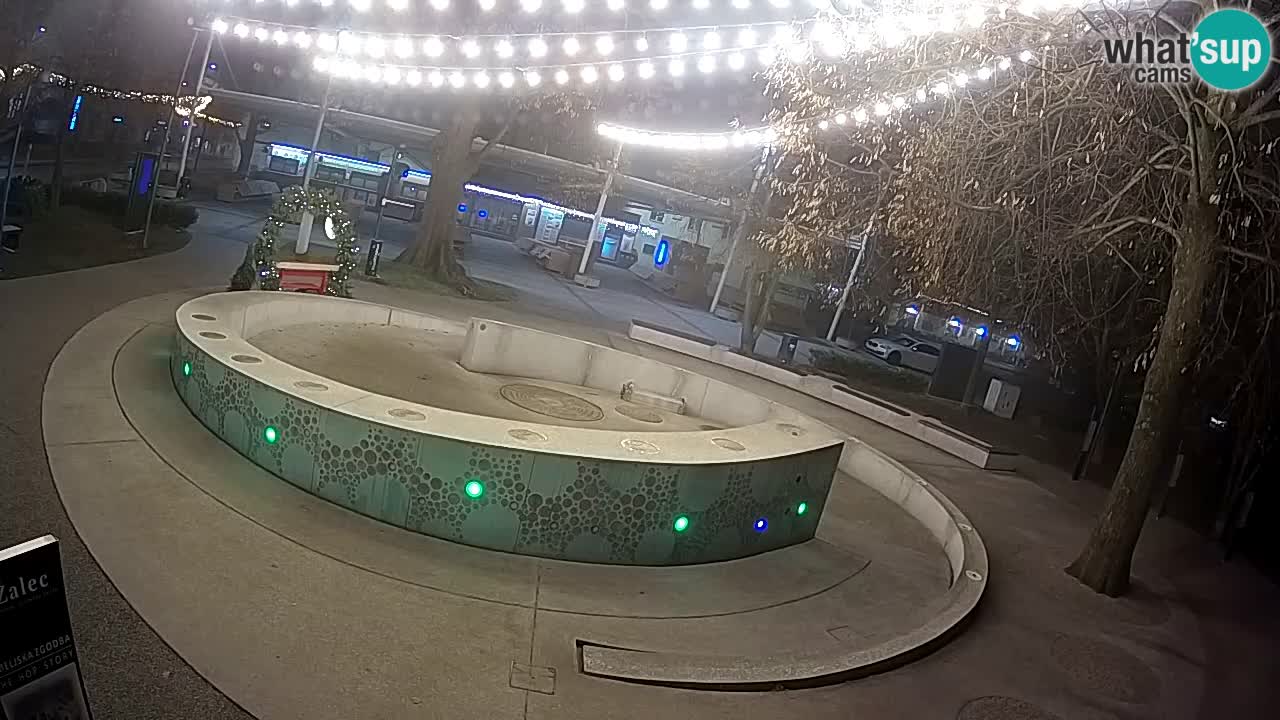 Fontaine à bière LIVE webcam &#8211; Or vert &#8211; Žalec